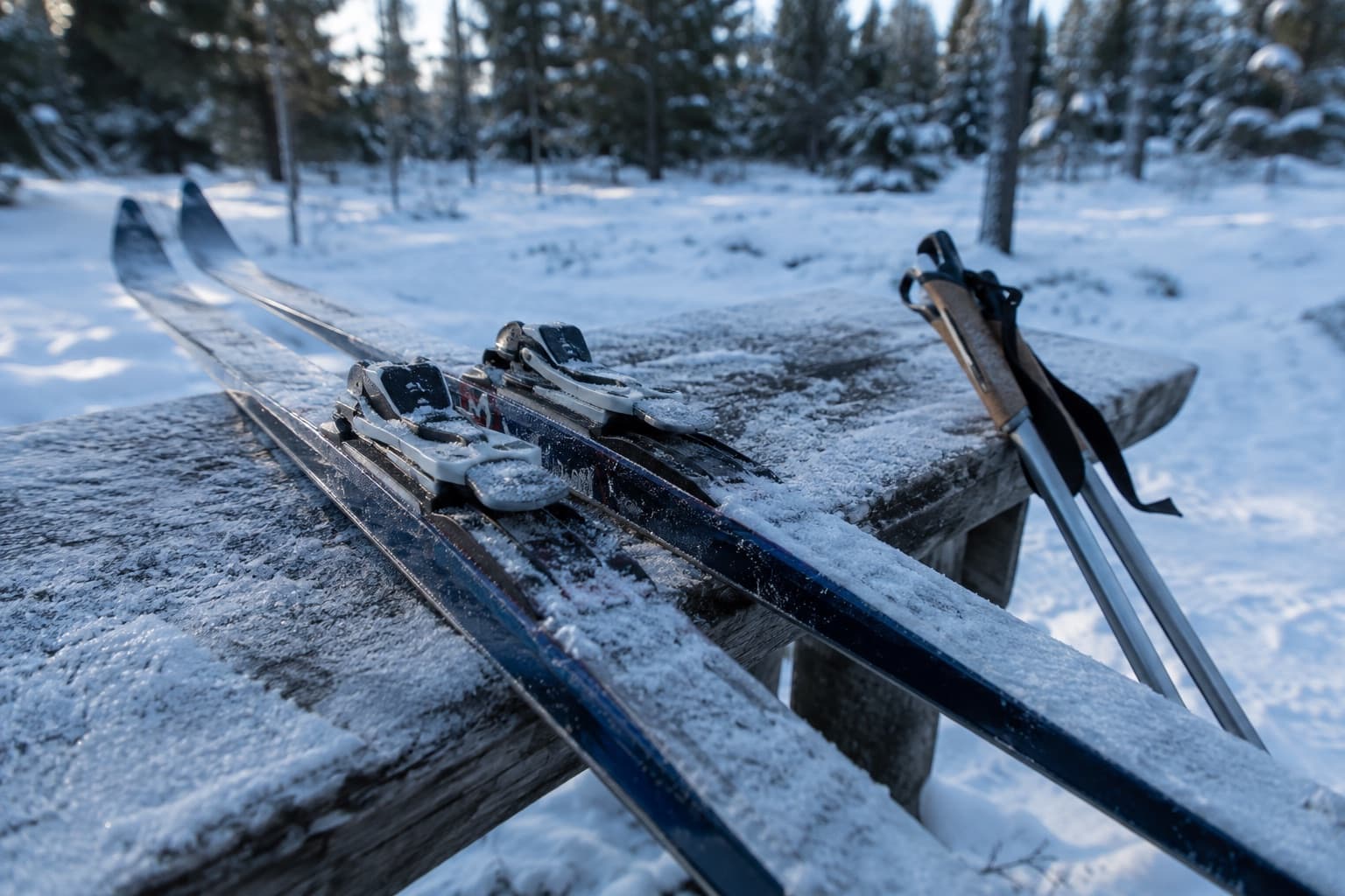 Klassiska längdskidor med bindningar och stavar på en frostig bänk vid skidspåret