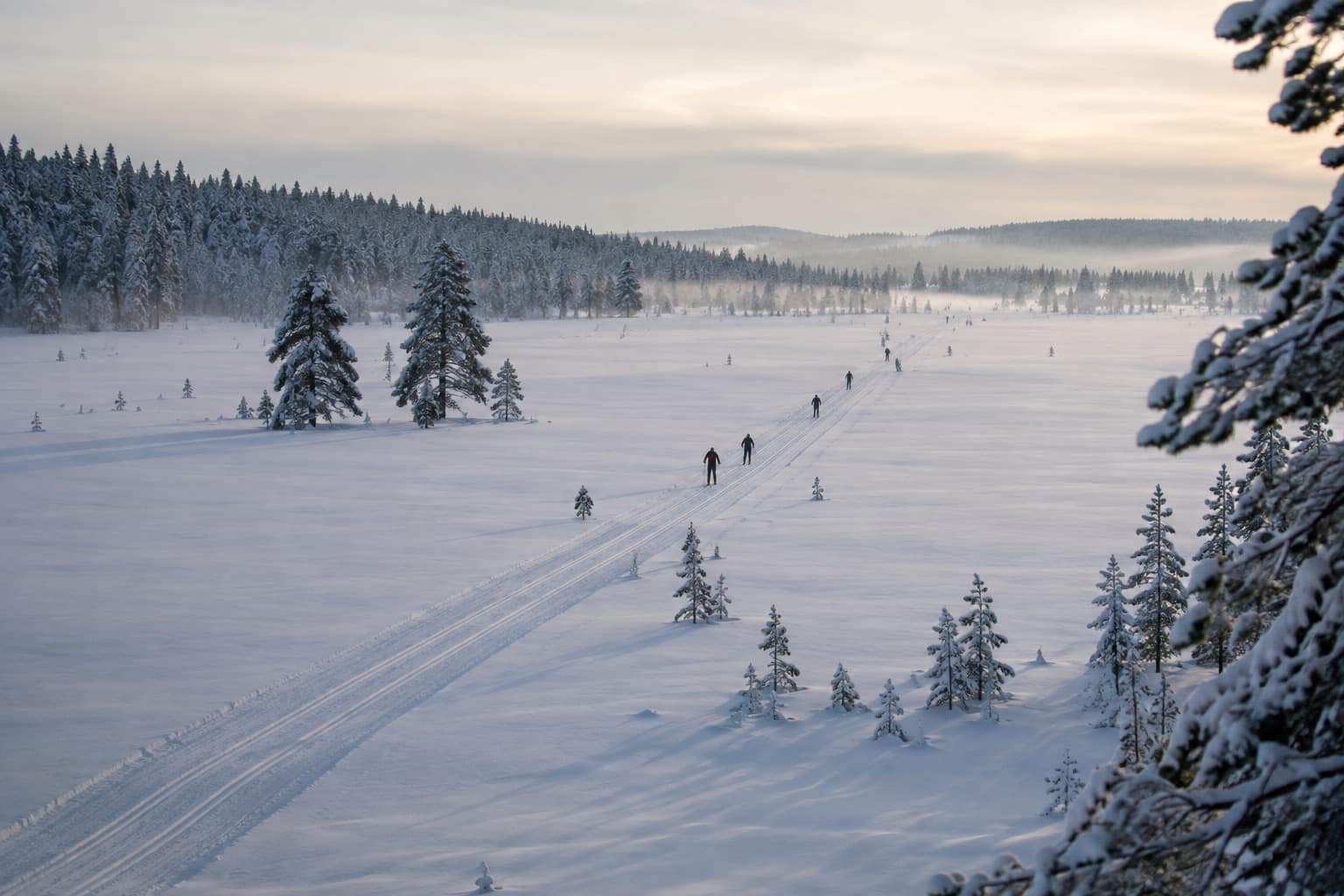 Längdspår över en frusen myr i Dalarna med skidåkare i fjärran