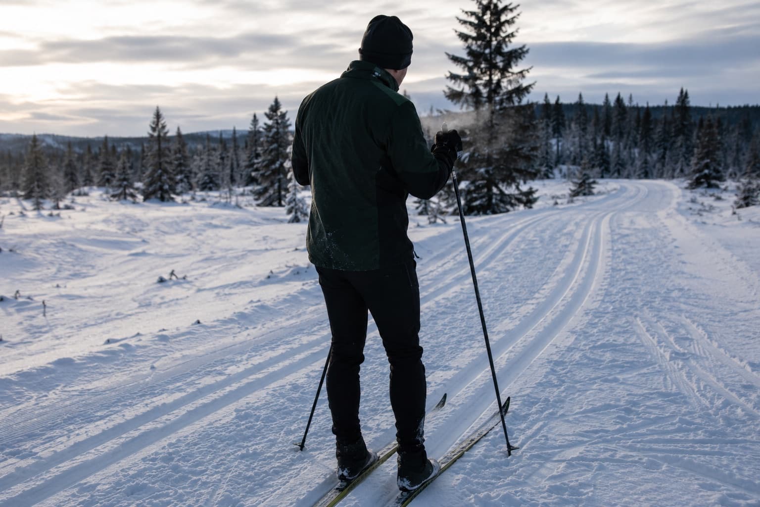 Längdåkare står i klassiska spår och blickar ut över vinterlandskapet
